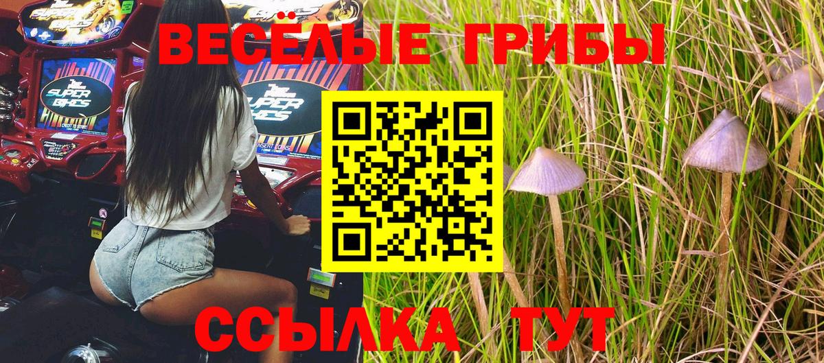 Псилоцибиновые грибы прущие грибы  Вход с VPN  Подольск 