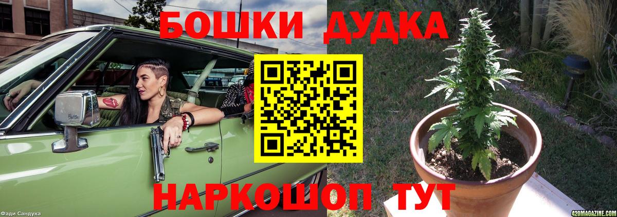 Шишки марихуана план  Вход с VPN  Подольск  Шишки марихуана SATIVA & INDICA 